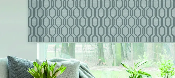 Designer Townhouse Grey Dimout Roller Blind