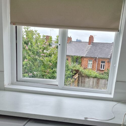 IMG-20220525-WA0011